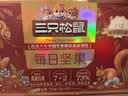 三只松鼠每日坚果750g30袋独立包装腰果开心果干休闲零食礼包团购送礼 实拍图