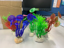 朴彩仿真水草水族箱鱼缸造景仿真水草生态装饰高仿真生态鱼缸装饰植物 绿色-1 实拍图