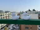 东之天地雪球夹儿童玩雪工具玩具套装加厚爱心鸭子夹雪模具玩沙打雪仗神器 【大号加厚】鸭子雪球夹34cm 实拍图