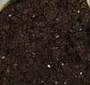 史丹利有机营养土10L*2 园艺有机土通用型种花种菜养花专用土壤种植土 实拍图
