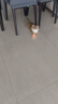 憨憨乐园 猫玩具剑麻球自嗨逗猫幼猫猫咪玩具宠物西海磨爪玩具6.5cm 实拍图