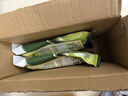悠哈 特浓抹茶牛奶糖  260g 国产零食糖果 结婚喜糖 少糖减糖 硬糖 实拍图