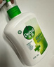 滴露（Dettol）洗手液松木500g瓶 健康抑菌消毒非补充装 儿童家庭用清爽去油 实拍图