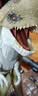 Jurassic World生日礼物男孩侏罗纪世界：重生大电影之畸王龙霸王龙JGB58 实拍图