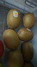 佳沛（zespri）新西兰 阳光金果25-27粒原箱特大果单果124-146g 猕猴桃水果礼盒 实拍图