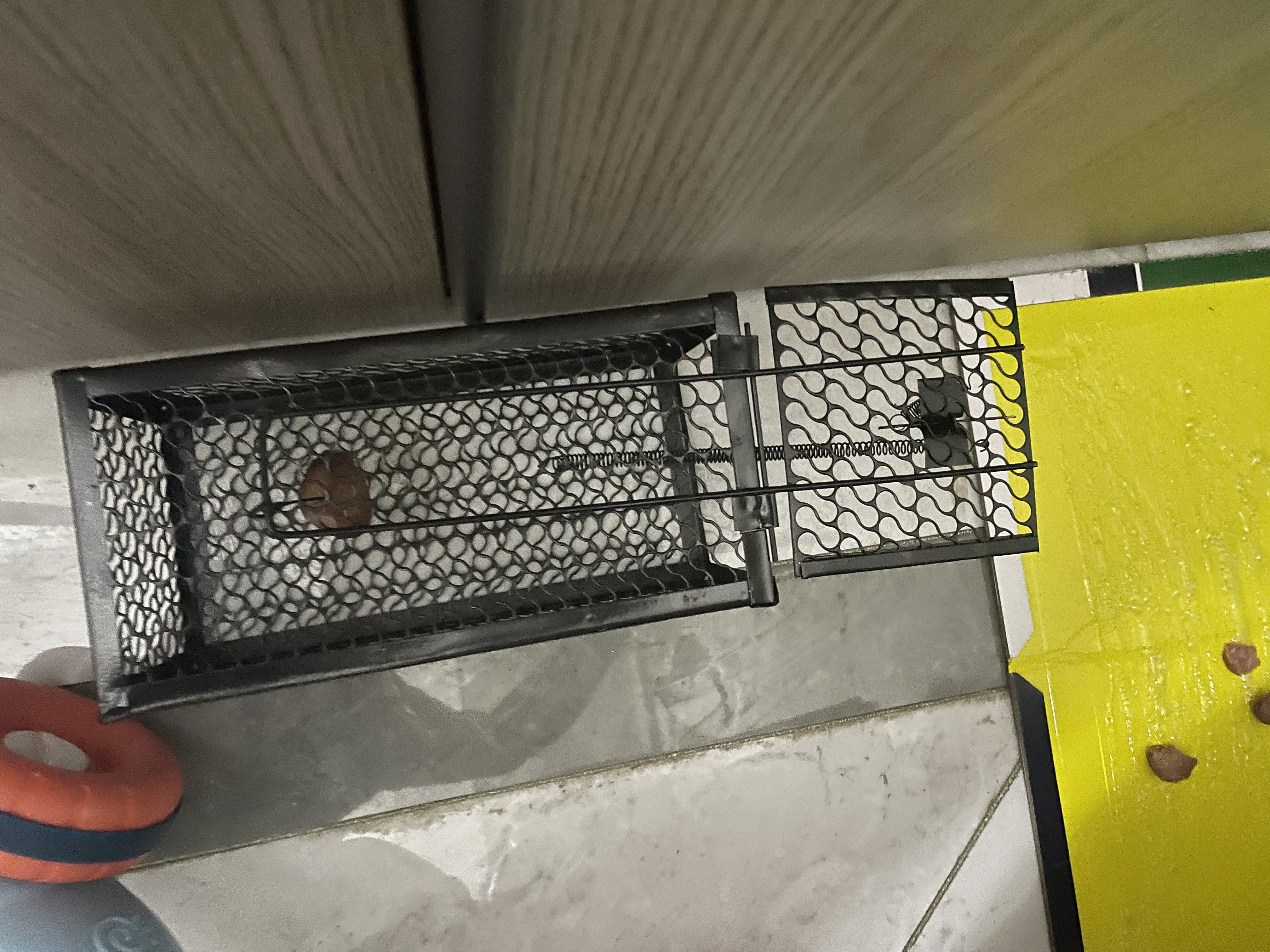 楚婕雅老鼠笼捕鼠笼家用老鼠夹子自动捕鼠器老鼠一窝端神器驱捉抓灭鼠器 实拍图
