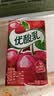 伊利【时代少年团同款】优酸乳车厘子味250ml*24盒 乳饮料牛奶饮品 实拍图