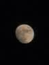 荣耀500 Pro 超级Pro版 肖战同款 骁龙8至尊旗舰芯 青海湖电池 5G AI 学生 新款拍照手机 16+512月光银 实拍图