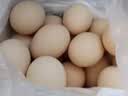 京鲜生 无抗保洁鲜鸡蛋30枚/盒 健康轻食 礼盒送礼 1.5kg/盒 源头直发 实拍图