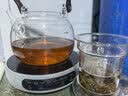茗光煮茶壶电陶炉煮茶器蒸煮一体茶壶烧水煮茶炉养生壶2026新款 实拍图
