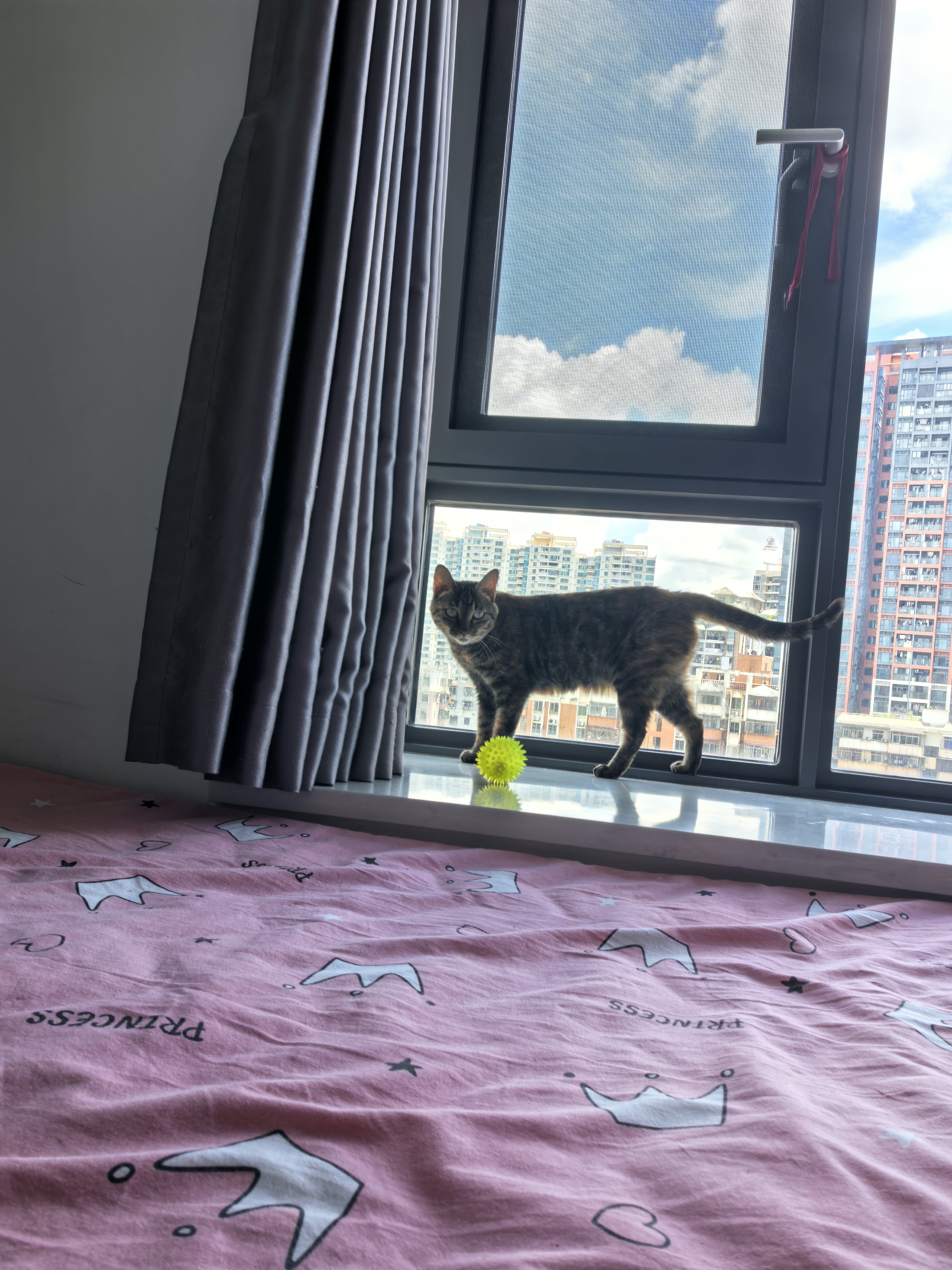 Orijen渴望猫粮 成猫幼猫粮 六种鱼肉美毛无谷全价进口5.4kg效期27/1 实拍图