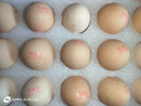 京鲜生 无抗保洁鲜鸡蛋30枚/盒 健康轻食 礼盒送礼 1.5kg/盒 源头直发 实拍图
