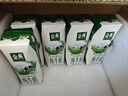 伊利【新鲜日期】金典纯牛奶早餐奶250ml*16盒3.6g乳蛋白 礼盒装 5月 实拍图