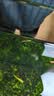 佳帮手浴室置物架卫生间墙上置物架免打孔壁挂厕所洗漱台三角收纳架带杆 实拍图