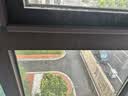 TaTanice网球回弹训练器单人打自练神器弹力球拍户外玩具儿童男孩生日礼物 实拍图