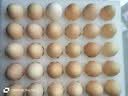 京鲜生 无抗保洁鲜鸡蛋30枚/盒 健康轻食 礼盒送礼 1.5kg/盒 源头直发 实拍图