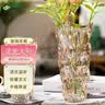 吕姆克花瓶玻璃客厅摆件花瓶插花水养大号花瓶520北欧琥珀色高28cm8549 实拍图