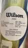 威尔胜（Wilson）美网专业比赛赛事用球上海大师赛全场地练习训练有压网球罐装球 【全场地训练用球】WRT1021 有压球 实拍图