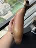 千果娘娘自然熟红美人香蕉新鲜香甜软糯红皮香蕉福建广西土楼孕妇红色水果 净重5斤【推荐装】 实拍图
