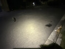 凯锐思猫罐头 猫零食猫湿粮红肉罐头幼猫成猫罐头【囤货装】170g*24 实拍图