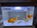 森森超白鱼缸一体缸自循环家用办公室桌面小型水族箱HEJ-380 实拍图