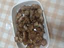 九阳（Joyoung）空气炸锅蒸烤一体 0氟钛瓷免翻面家用空气炸锅 5.5L大容量很美的热风烘炸金属内腔 KL55-V155 实拍图