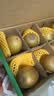 佳沛（zespri）新西兰阳光金果10个装单果重约103-114g 水果礼盒 猕猴桃 实拍图