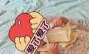 贝亲（Pigeon）自然离乳 PPSU重力球吸管双把手奶瓶 240mL 6月+ AA252 实拍图