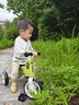 贝趣儿童三轮车自行车1-3-6岁脚踏车宝宝平衡车婴儿幼儿2岁小孩童车 英伦绿【灯光音乐+防侧翻】 滑步滑行车生日六一儿童节礼物 实拍图