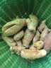 山东新鲜大姜超市生鲜蔬菜老姜即食水果生姜水洗净姜 山东大姜净重1斤 实拍图