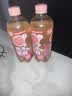 茶小开轻汽湃芭乐茉莉气泡康普茶500ml*15瓶整箱 气泡水芭乐汁果汁饮料 实拍图