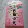 十月稻田 香稻贡米 东北大米 10斤（香米 粳米 5kg/公斤） 实拍图
