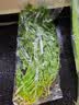 带根香菜100g 实拍图