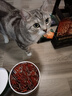 网易严选猫条猫湿粮成猫幼猫通用零食三文鱼+扇贝口味12g*100条 实拍图