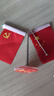 【抖音爆款】党旗国旗摆件桌面摆件小红旗办公室装饰旗车载摆件 桌面摆件【我爱中国】2套（不可升降） 实拍图