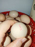 京鲜生 无抗保洁鲜鸡蛋30枚/盒 健康轻食 礼盒送礼 1.5kg/盒 源头直发 实拍图