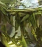 贡牌2026新茶上市 绿茶西湖龙井茶AA级100g明前礼盒装 实拍图
