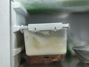 天润新疆特产润康0蔗糖低温酸奶  饭盒装原味酸牛奶  1kg*1盒 实拍图