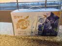 蒙牛真果粒葡萄味牛奶饮品250g*12盒  礼盒新老包装 含乳饮料送礼礼盒 实拍图