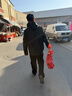 骆驼（CAMEL）CamelTex户外御寒冲锋衣男女同款防油污外套三合一登山服  L 实拍图