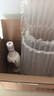 古井贡酒 老瓷贡 浓香型白酒 42度 250mL*1瓶 单瓶装 实拍图