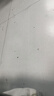 格力（GREE）【巨风量】落地扇远吹风电风扇台式电扇易拆洗广角摇头节能定时轻音风扇落地扇 FD-4010-WG 实拍图