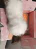 Chongker宠客仿真玩偶趴姿布偶猫咪公仔毛绒娃玩具送女生送女朋友生日礼物 汉服云肩款 35*20*23 实拍图