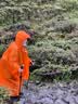 三峰出 三峰雨衣 三峰户外登山徒步 轻量化 男女通用雨衣 袖子款 15D活力橙M码袖子款 实拍图