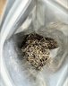 张一元茉莉花茶叶银毫春新茶冷泡茶浓香老北京口粮茶伴手礼特种50g袋装 实拍图