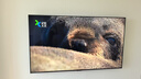 小米电视S75 Mini LED年度新品 75英寸 低反屏704分区1700nits L75MB-S一级能效家电智慧屏电器 实拍图