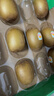 佳沛（zespri）新西兰 阳光金奇异果12粒特大果单果124-146g 猕猴桃水果礼盒 实拍图