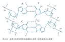 CangHua 适用小米平板5/5pro保护套12.4英寸 2021款Mi Pad5/5Pro保护壳小米平板电脑支架超薄全包防摔皮套 实拍图