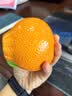 爱已装糖仿真橘子艺术花瓶简约陶瓷花瓶节日礼物客厅餐桌装饰插花瓶高10cm 实拍图