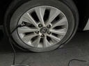 普利司通（Bridgestone）汽车轮胎 195/65R15 91H ER300 配套卡罗拉/雷凌/适配朗逸/宝来 实拍图
